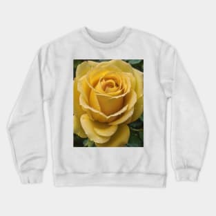 Yellow Rose Crewneck Sweatshirt